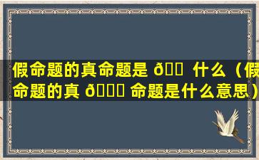 假命题的真命题是 🐠 什么（假命题的真 🐟 命题是什么意思）